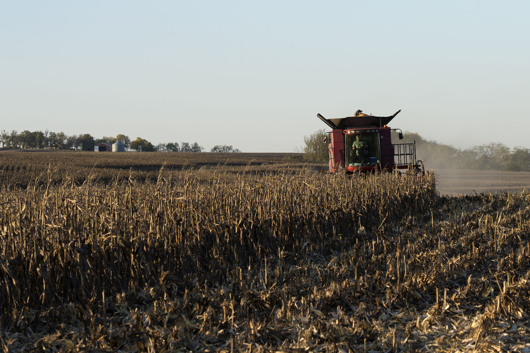 Harvest time